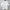 Women's t-shirt New letter embroidered round neck pullover for summer 2025 Couple style fit loose Cotton blend short sleeved top