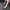 Shoes For Women 2025 High Heels Ladies Summer Footwear Pointed Toe Red Pumps Evening On Heeled Casual Social Korean Style Slip