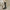 2024 New Women Boots   Boots-Women Female Shoes Winter Footwear Over-the-Knee Genuine Leather High Heel Rubber