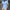 Men Polo Shirt Fashion Fun Letter Print Polo TShirt Casual Button Summer Breathable Loose Business Clothing Men Short Sleeve Top