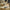 Men's Shoes 2025 Spring New Classic Board Shoes Fashion Senior Sense Retro Shoes Wear-resistant Non-slip Street Casual Shoes