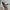 Shoes For Men Tennis Deals Slip-on Thick Platform Man Casual Sneaker Gym Cheap Promotion Hot Delivery Low Price Y2k Miked Colour