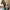 2025 New Sunglasses For Men Crystal Glass For Driving Big Face UV400 Green Sunglasses Metal High-quality Double Beams